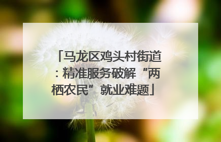 马龙区鸡头村街道：精准服务破解“两栖农民”就业难题
