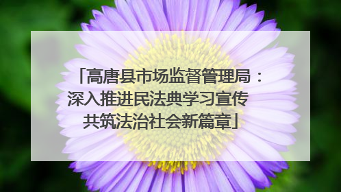 高唐县市场监督管理局：深入推进民法典学习宣传 共筑法治社会新篇章