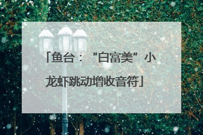 鱼台：“白富美”小龙虾跳动增收音符