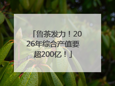 鲁茶发力！2026年综合产值要超200亿！