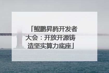 鲲鹏昇腾开发者大会：开放开源铸造坚实算力底座