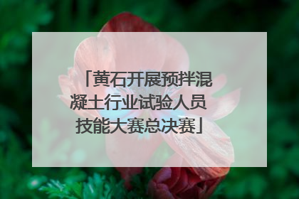 黄石开展预拌混凝土行业试验人员技能大赛总决赛