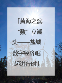 黄海之滨“数”立潮头——盐城数字经济崛起进行时