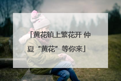 黄花镇上繁花开 仲夏“黄花”等你来