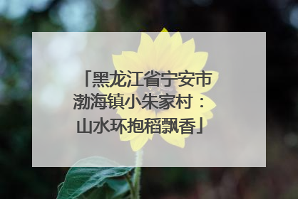 黑龙江省宁安市渤海镇小朱家村：山水环抱稻飘香