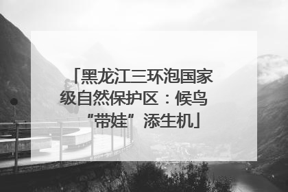 黑龙江三环泡国家级自然保护区：候鸟“带娃”添生机