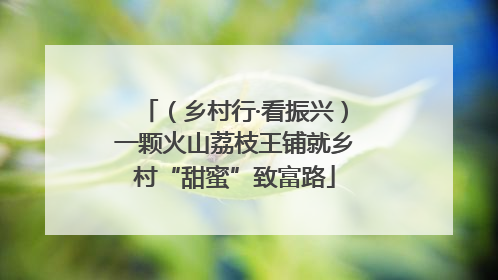 （乡村行·看振兴）一颗火山荔枝王铺就乡村“甜蜜”致富路
