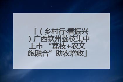 （乡村行·看振兴）广西钦州荔枝集中上市 “荔枝+农文旅融合”助农增收