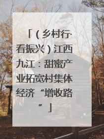 （乡村行·看振兴）江西九江：甜蜜产业拓宽村集体经济“增收路”