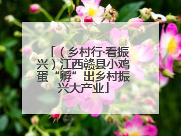 （乡村行·看振兴）江西赣县小鸡蛋“孵”出乡村振兴大产业