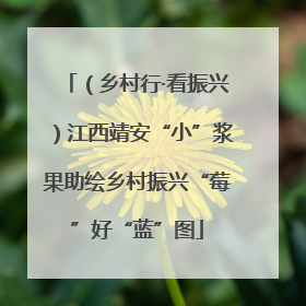 （乡村行·看振兴）江西靖安“小”浆果助绘乡村振兴“莓”好“蓝”图