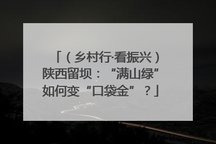 （乡村行·看振兴）陕西留坝：“满山绿”如何变“口袋金”？