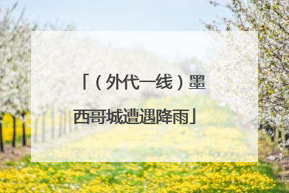 （外代一线）墨西哥城遭遇降雨