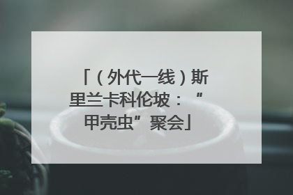 （外代一线）斯里兰卡科伦坡：“甲壳虫”聚会