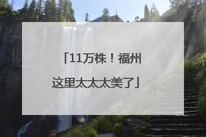 11万株！福州这里太太太美了