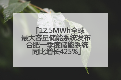 12.5MWh全球最大容量储能系统发布 合肥一季度储能系统同比增长425%