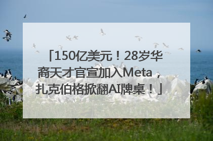 150亿美元！28岁华裔天才官宣加入Meta，扎克伯格掀翻AI牌桌！