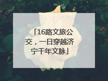 16路文旅公交，一日穿越济宁千年文脉