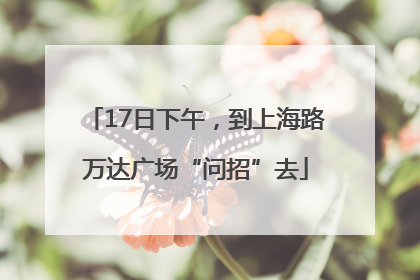 17日下午，到上海路万达广场“问招”去