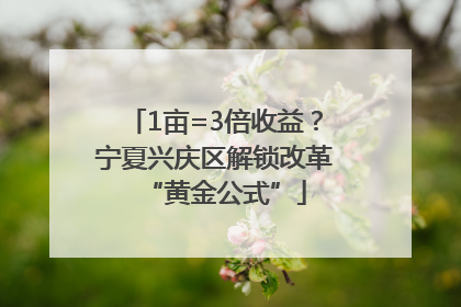 1亩=3倍收益？宁夏兴庆区解锁改革“黄金公式”