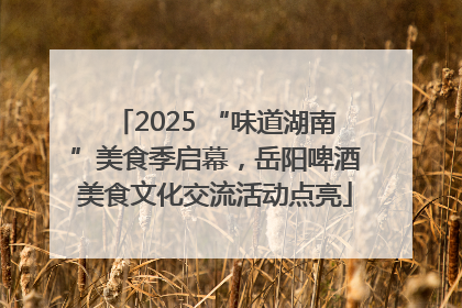 2025 “味道湖南”美食季启幕，岳阳啤酒美食文化交流活动点亮