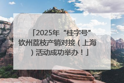 2025年“桂字号”钦州荔枝产销对接（上海）活动成功举办！
