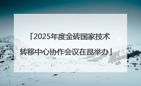 2025年度金砖国家技术转移中心协作会议在昆举办