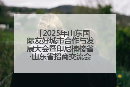 2025年山东国际友好城市合作与发展大会暨印尼楠榜省·山东省招商交流会在济南槐荫举行