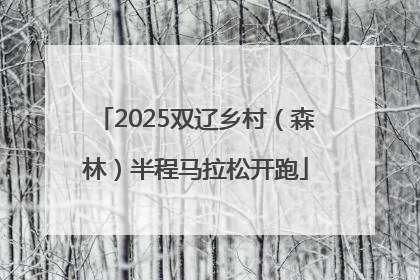 2025双辽乡村（森林）半程马拉松开跑