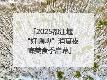 2025都江堰“好嗨啤”消夏夜啤美食季启幕