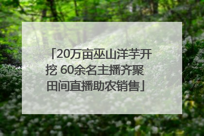 20万亩巫山洋芋开挖 60余名主播齐聚田间直播助农销售