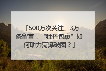 500万次关注、3万条留言，“牡丹包裹”如何助力菏泽破圈？