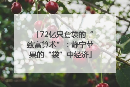 72亿只套袋的“致富算术”:静宁苹果的“袋”中经济