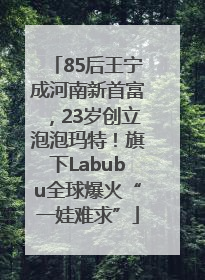 85后王宁成河南新首富，23岁创立泡泡玛特！旗下Labubu全球爆火“一娃难求”