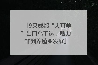 9只成都“大耳羊”出口乌干达，助力非洲养殖业发展