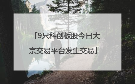 9只科创板股今日大宗交易平台发生交易