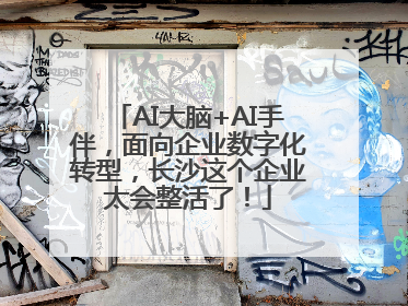 AI大脑+AI手伴，面向企业数字化转型，长沙这个企业太会整活了！