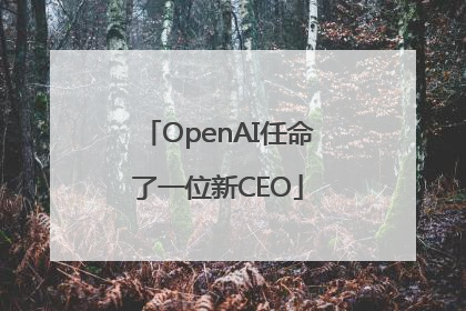 OpenAI任命了一位新CEO