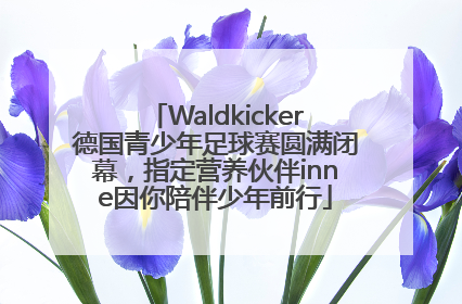 Waldkicker德国青少年足球赛圆满闭幕，指定营养伙伴inne因你陪伴少年前行